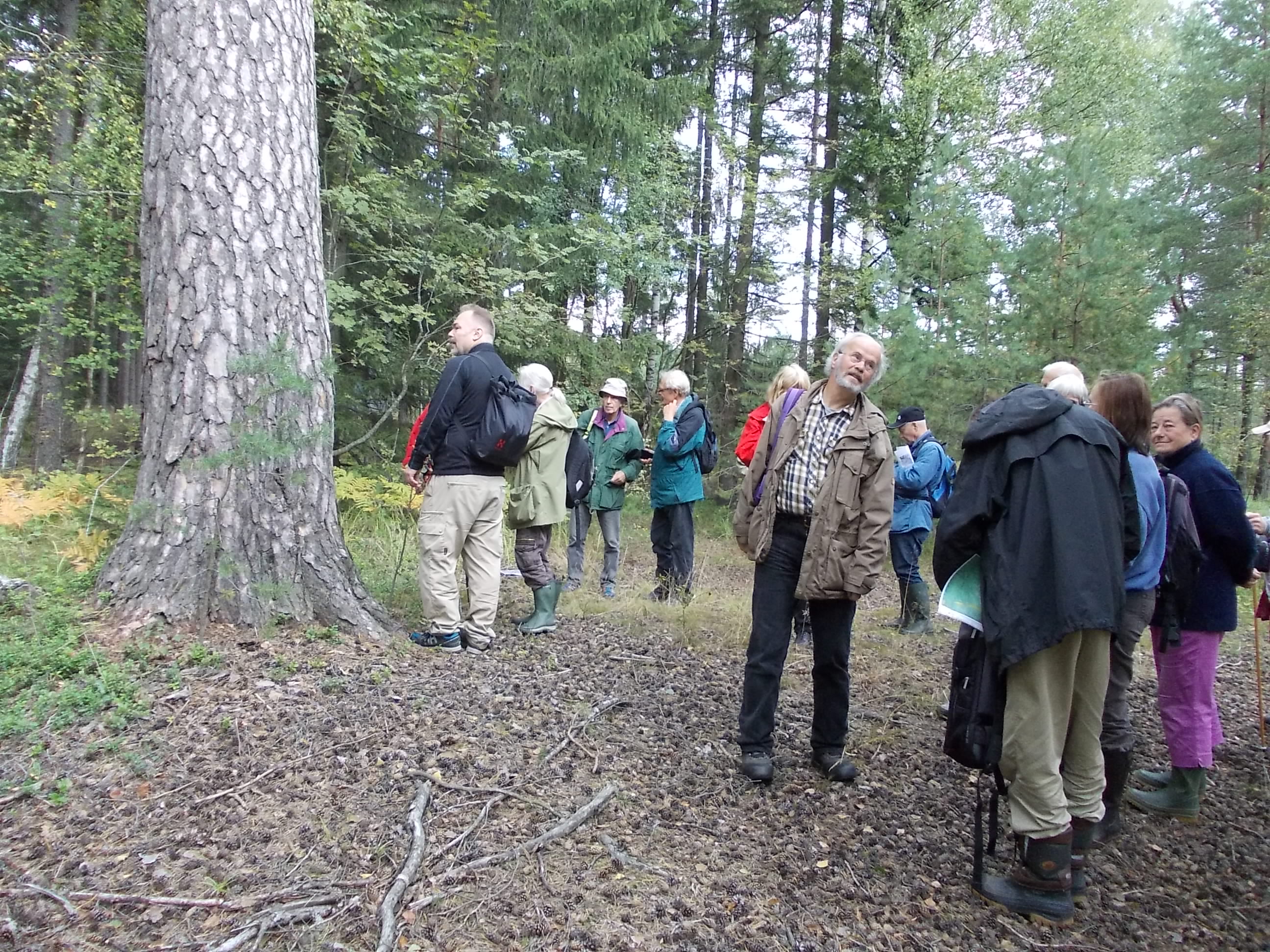 Exkursionens slutsats: många naturvärden försvinner när stäkets ...