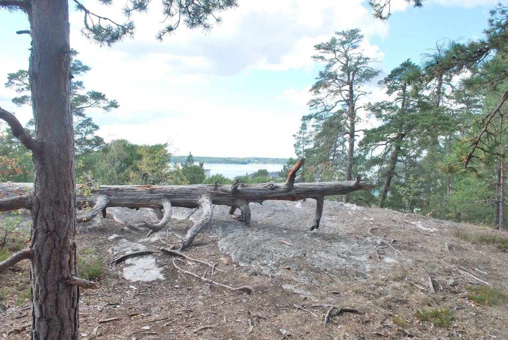 Utsikt över Mälaren från Bolinderberget