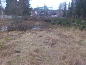 Stora Ängsnäs avverkning för nedgrävning kraftledning